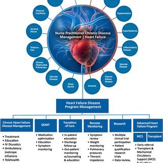 What is the Art of Nursing: A Multi-Faceted Exploration